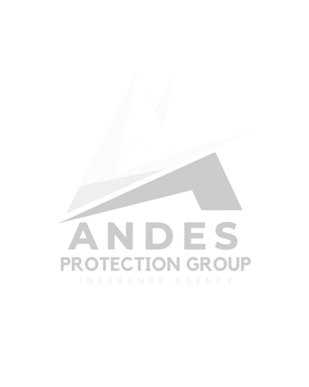 AndesProtectionGroup